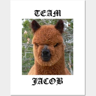 Team Jacob Posters and Art